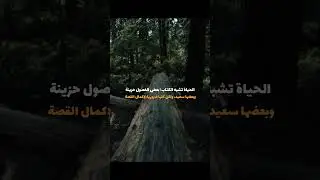 دروس الحياة من اقتباسات الحكماء: حكم تُنير الطريق