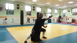 Тайдзи цюань стиль Чэнь