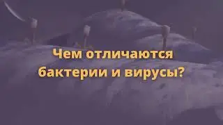 Чем отличаются бактерии от вирусов?