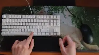 Varmilo VA87Mac Cherry mx speed silver lubed & all mod typing