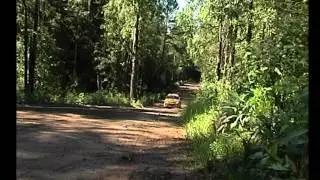 ралли 