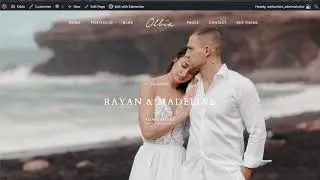 Olbia - Theme Options