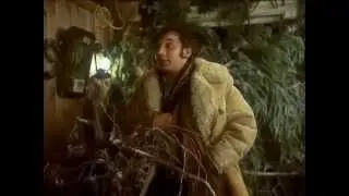 А я вам елочку принес