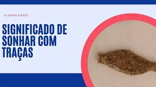 Sonhar com traças significado completo