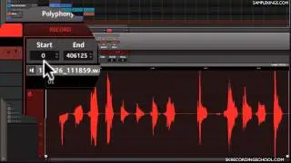 Maschine MK2 & Maschine Mikro DVDs Lesson:Sample in Sync