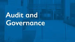 Audit and Governance Committee - 20 March 2025