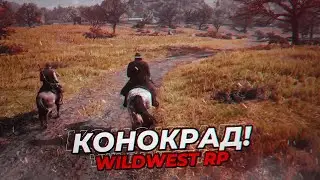 RDR 2 RP - FIN #40 - WILDWEST RP SERVER - REDM