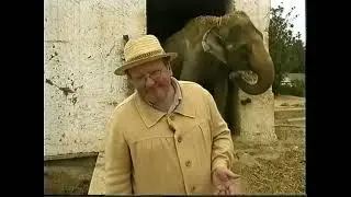 Путешествия натуралиста (НТВ, 2000) Тунис