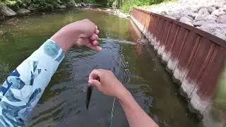Fishing Kenosha Country Club