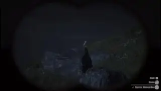 First platinum RDR2 🤘🔥🏆