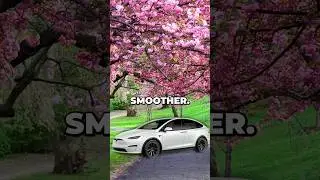 Tesla MAJOR Spring Update brings NEW Interface and More