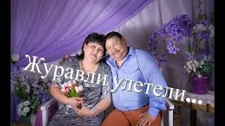 «Журавли улетели...» грустная песня под гитару. Огромная благодарность всем 🙏