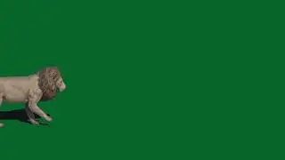 Download Green Screen Videos for Shortfilms for Free  2020 hot nice today best 👍