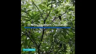 Ocean Science Fact: El Nino and La Nina #Shorts