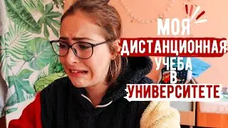 Моя дистанционная учеба в универе