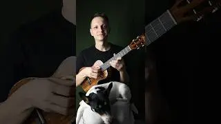Собачий вальс на укулеле | табы