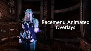Why haven't I heard of this mod before | Skyrim SE | Racemenu Animated Overlays in 4K