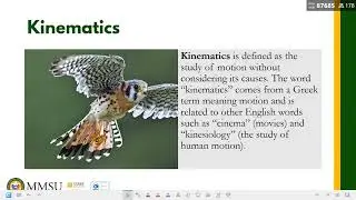 Meeting 2: One-Dimensional Kinematics Part 1