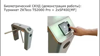 Биометрический турникет ZKTeco TS2000 PRO+2xSF400: демонстрация работы