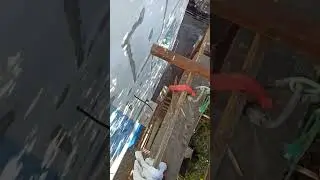 Высота,красота!