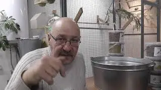 Разнотравье луговой сбор,лебеда ,чернушка  лат  Nigēlla satīva,