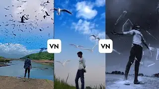 Multi Types Sky Change Video Editing in Vn App || Sky Birds Fly Video Editing || Vn Video Editing