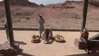Парк Тимна