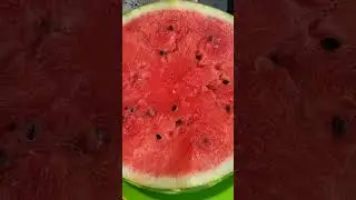 fruit paradise 🍉🥑🍌🍍🥭