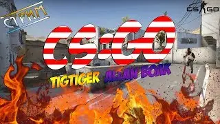 СТРИМ по CS:GO: TigTiger, Allan Волк