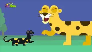 Animanimals