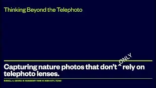 Thinking Beyond the Telephoto Lens - The June 2024 Hackberry Farm Photo School Webinar Replay