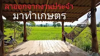 ลาออกจากงานประจำ มาทำเกษตร ดีมั้ย?