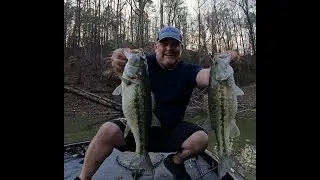 Smith Lake Bass Fishing