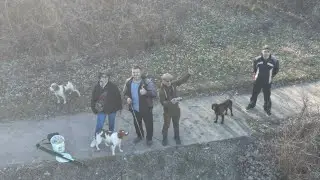 очередная прогулка
