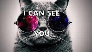I CAN SEE YOU - (By CedZ)