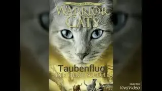 Warrior cats cover Katzen Staffel 4