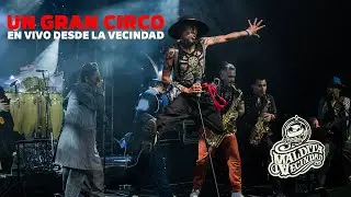 Maldita Vecindad - Un Gran Circo - 2021  En Concierto (Video Oficial)