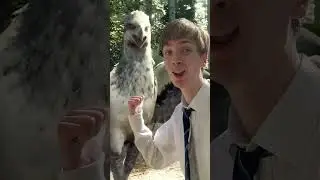 Day in the life at Hogwarts - pt2