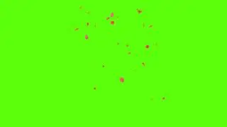 tree leaves falling green screen/ for whatsapp status green screen video/by kuldip effect creation.