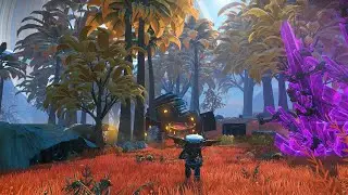No Man’s Sky - Singularity Expedition