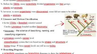 Unit 7 - Classification Notes - Pages 7-1 to 7-2