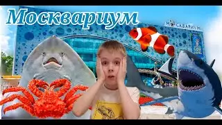 МОСКВАРИУМ | САМЫЙ БОЛЬШОЙ ОКЕАНАРИУМ В МОСКВЕ | ВЛОГ | VLOG