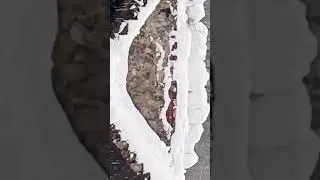 Отправить
