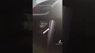 Ben silinsin istemem hep ayakta canlı tutarım her zaman ☝️☝️