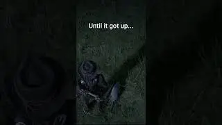 Another amazing detail in RDR2 