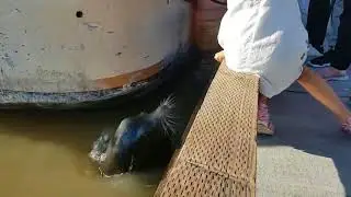 приколы без мата!