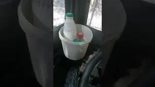ТДН в лесу.