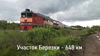 Станция Берёзки - о.п. 648 км. Грузовые поезда.
