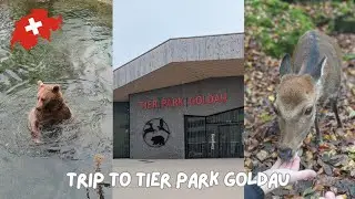 Tier Park Goldau | Nature and Animal Park | Switzerland 🇨🇭