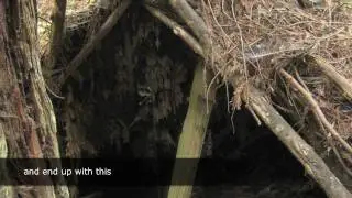 Camping For All - Viral Video Project